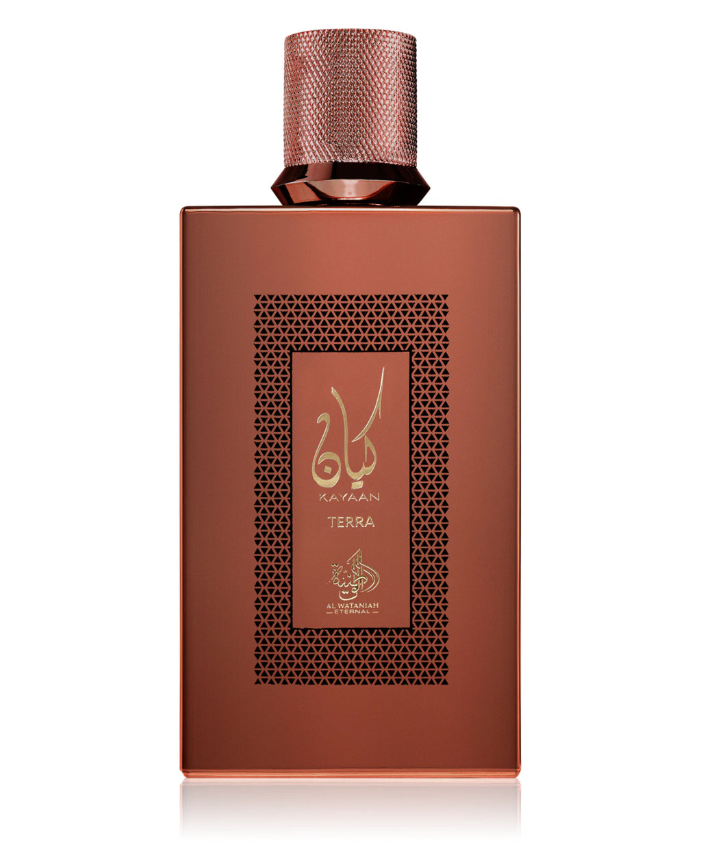 Al Wataniah
Kayaan Terra
Eau de Parfum unisex