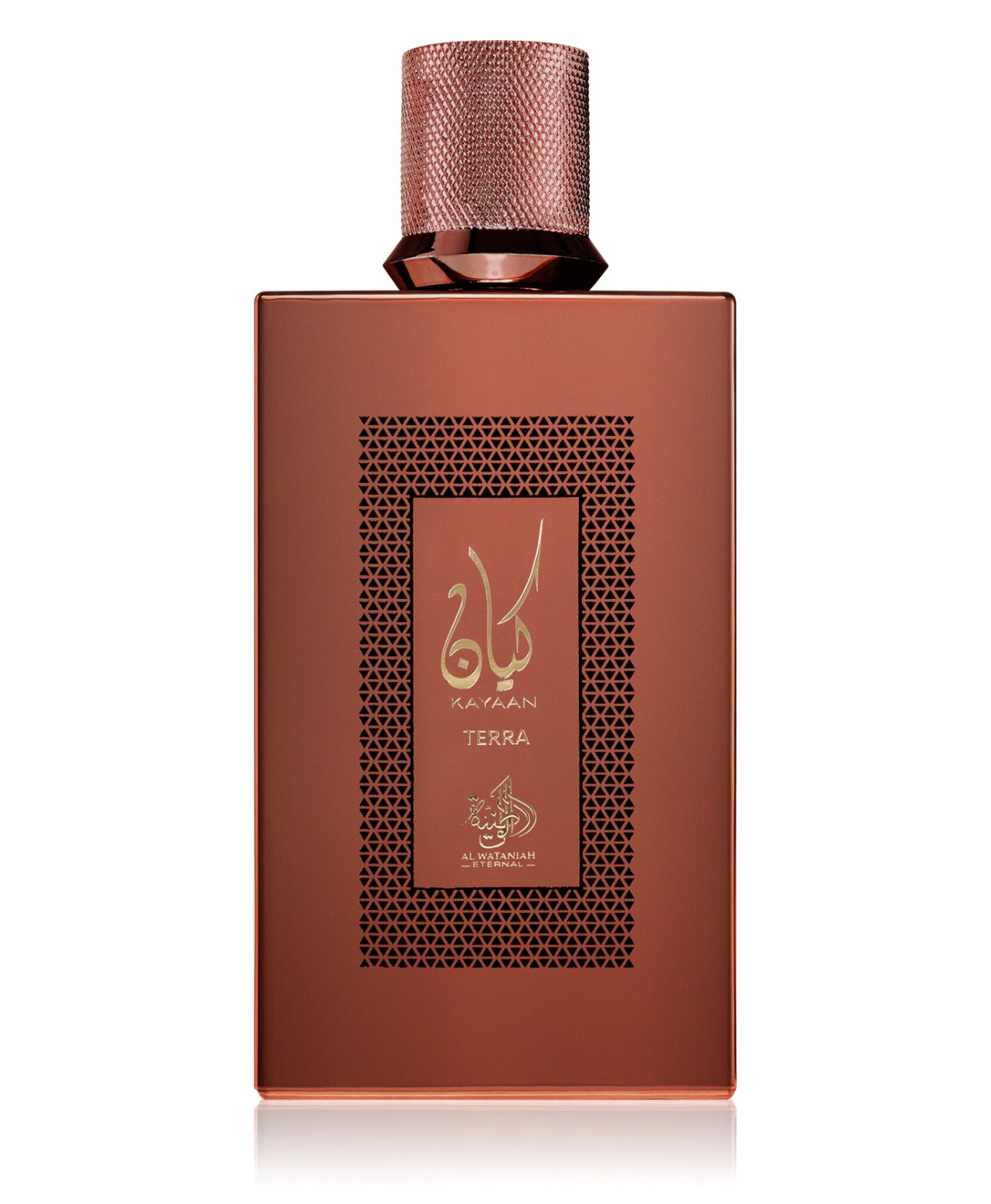 Al Wataniah
Kayaan Terra
Eau de Parfum unisex